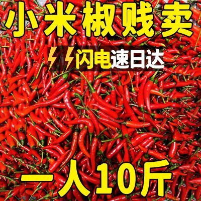 【速日达】小米辣椒新鲜红辣椒小米椒新鲜批发泡椒蔬菜鲜椒