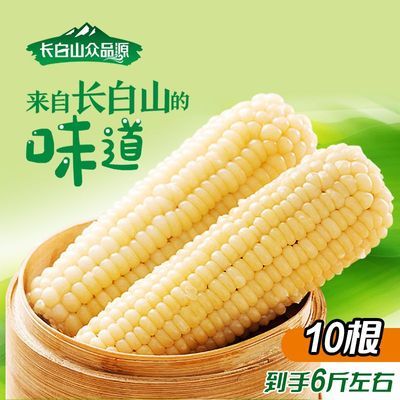 【长白山众品源】白糯玉米280克10大棒甜糯玉米0添加非即食