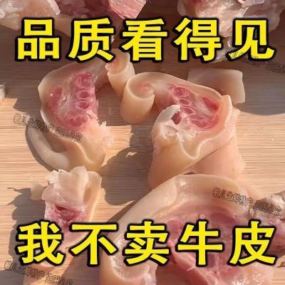 草饲黄牛牛蹄子去骨剔骨牛蹄子整只新鲜半熟脱骨牛脚牛蹄筋大牛腿