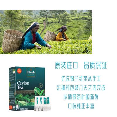 斯里兰卡Dilamh迪尔玛红茶简装原味锡兰茶 100包奶茶餐