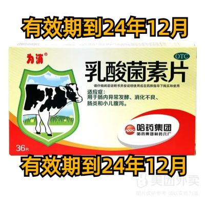 【20盒装】 为消 哈药乳酸菌素片36片 消化不良效期到24年12月