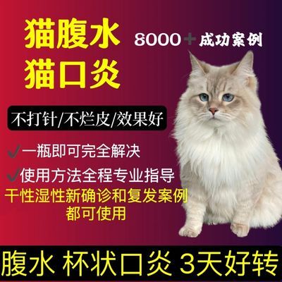 28Ol猫传腹口炎胶囊口服冠状干性传腹湿性传腹杯状口炎高效正品