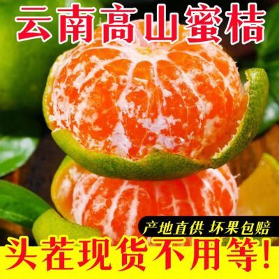 【酸甜多汁】云南蜜橘无核薄皮橘子青皮桔子时令水果当季现货现摘