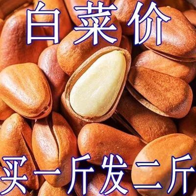 新货东北松子特大颗粒罐装原味开口干燥剂孕妇年货坚果零食散装