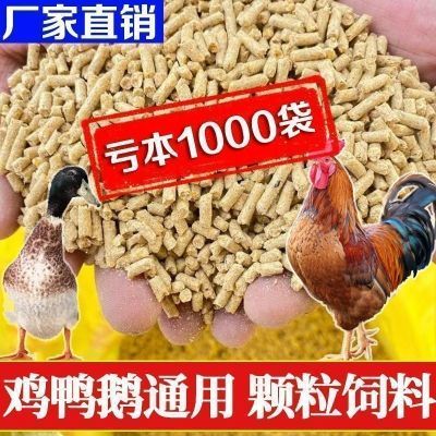 厂家批发鸡饲料袋装全价料鸡饲料鸡鸭鹅钓鱼饲料包邮新鲜