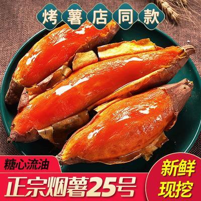 山东烟薯25号新鲜糖心红心蜜薯沙地辅食超甜农家自种红薯烤地瓜