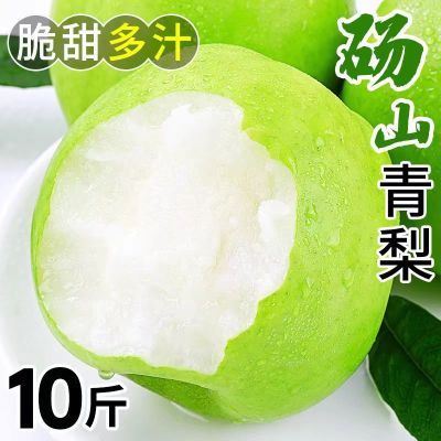 砀山正宗青皮皇冠梨薄皮新鲜一整箱大果梨水果家庭装10斤皇冠梨子