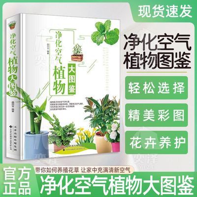 净化空气植物大图鉴 植物百科大全艺书籍盆栽摆放阳台养花书籍