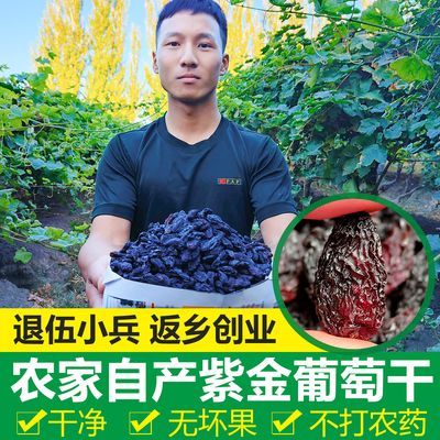 新疆特产紫金葡萄吐鲁番风干大颗粒免洗不添加500g新鲜葡萄干散装