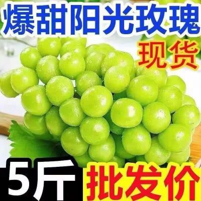 【京东包邮】四川阳光玫瑰葡萄晴王当季水果整箱3.1斤-5.5