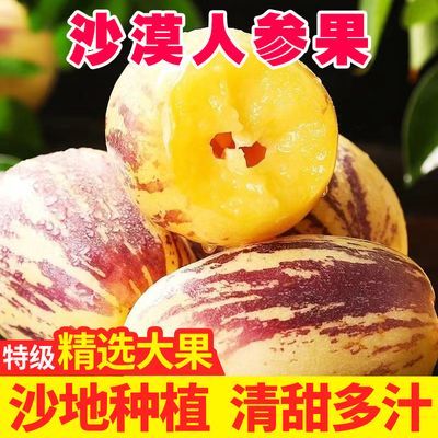 【精品】甘肃民勤新鲜人参果沙漠种植人生果清甜孕妇水果批发包邮