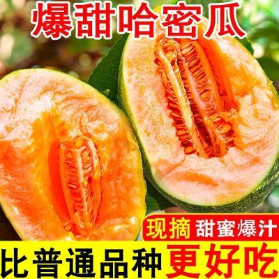 【甜蜜多汁】新僵哈密瓜新鲜水果西州蜜瓜网纹瓜孕妇当季哈密甜瓜