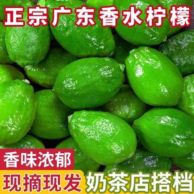 【产地现发】正宗广东香水柠檬新鲜水果青柠檬饮品奶茶店专用批发