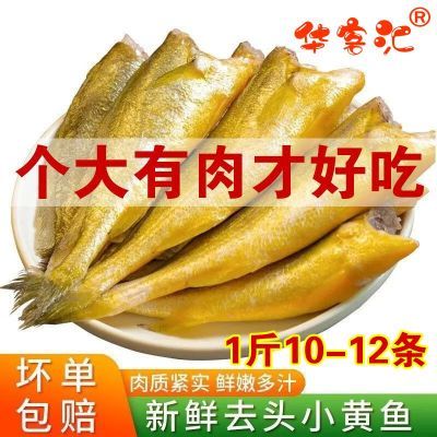 【大个头】去头小黄鱼特大去头小黄花鱼新鲜冷冻海鲜水产批发