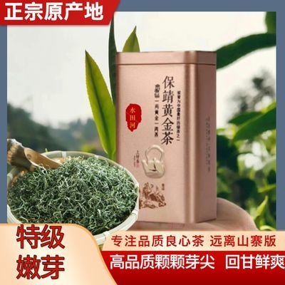 正宗2024保靖黄金茶炒青浓香型新茶叶高山云雾散装特级绿茶碧螺春