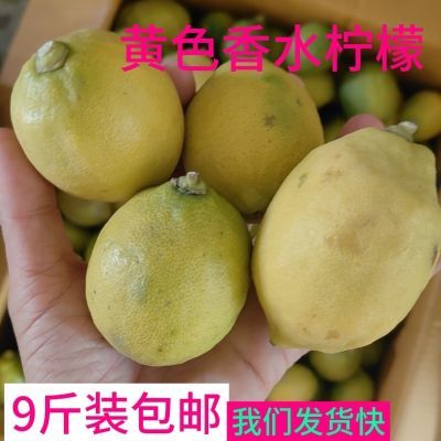 香水黄柠檬广东无籽薄皮树上熟新鲜香水柠檬黄果黄果9斤装 黄皮