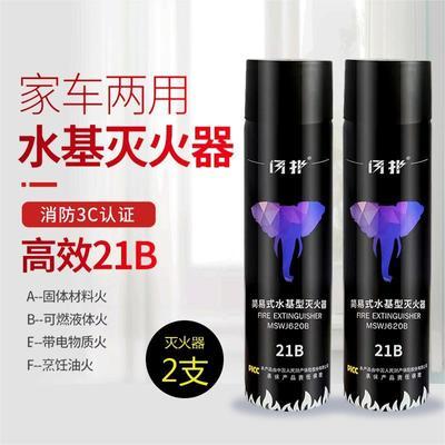 消防专用水基灭火器家用小型便携式国标620简易车载灭火器新能