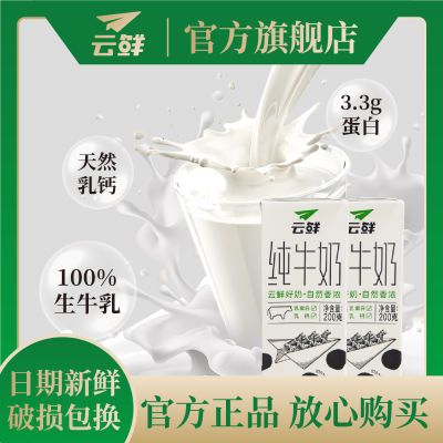 【爆款纯牛奶】云南奶10盒一大箱6.6g蛋白200mg钙每盒新鲜学生奶