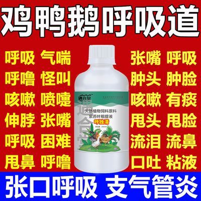 鸡鸭鹅呼噜咳嗽鸽子伸脖喘气怪叫张口呼吸禽用呼独清甩鼻伸颈专用