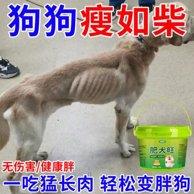 狗挑食克星食欲不振挑食开胃营养品增肥长肉发腮美毛增大骨架专用