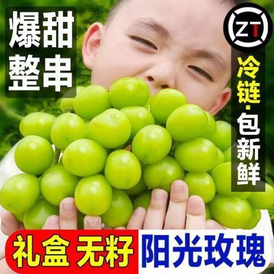 【现货】阳光玫瑰晴王葡萄新鲜水果批发孕妇水果青提晴王阳光葡萄