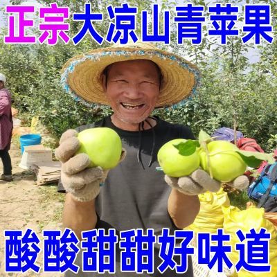 (新货)大凉山盐源高原青苹果,金帅苹果孕妇水果 新鲜 高维生素