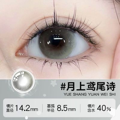 ڲOVOLOOKβʫϵͫ2ƬװСֱճ۾18.8Ԫ