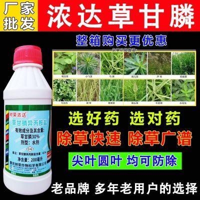 树荣浓达草甘膦高浓度除草剂顽固杂草除草剂死草草甘膦除草剂农用