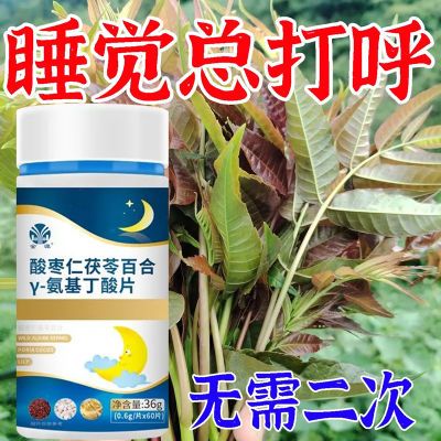 【整夜打呼噜】茯苓百合酸枣仁改善呼吸道睡眠止鼾止呼噜片中药材