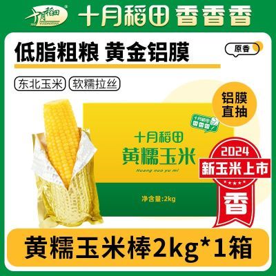 【24年新玉米】十月稻田东北黄糯玉米200g/支 低脂新鲜粒大真空