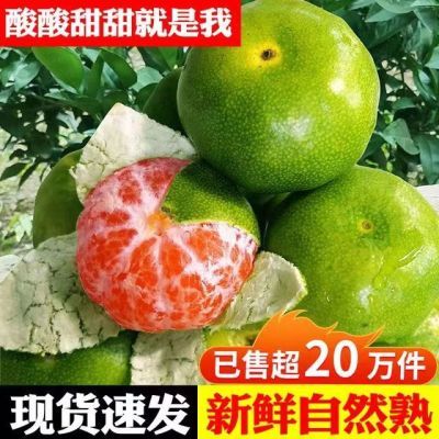 【无籽蜜桔】正宗云南新鲜橘子孕妇水果批发应季青皮橘子薄皮蜜橘