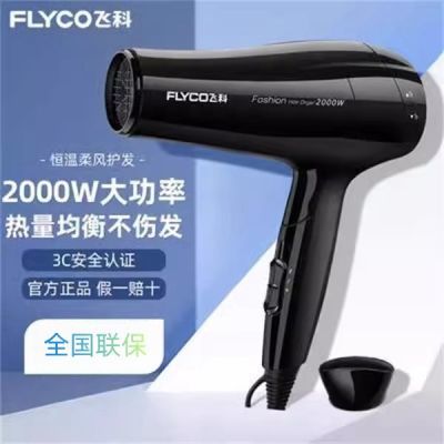 飞科吹风机家用大功率电吹风发廊2000宿舍正品冷热恒温护发FH6231