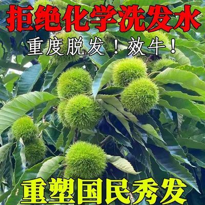 【官方正品】苗医堂洗发液防脱育发洗发水发功夫养发99%的选择