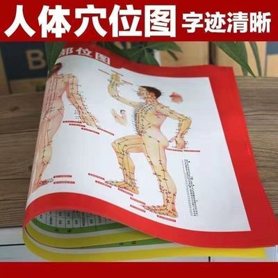 穴位高清标准中医针灸艾灸挂图家用全身参考按摩人体经络穴位图