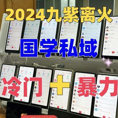 2024年全新高复购玄学项目 教程+话术国学小白也可以操作没