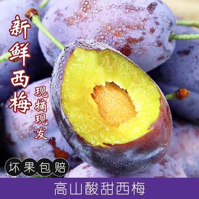 新鲜西梅水果蜜甜批发整箱李子正宗西梅果当应季西梅