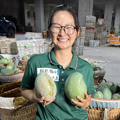 正宗四川攀枝花凯特芒果新鲜水果当季整箱凯特芒特大芒果包邮凯特