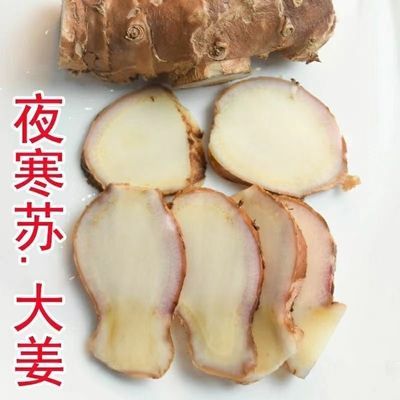 贵州野生夜寒苏大姜煲汤专用食材美味,买5斤送2斤共7斤