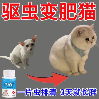 猫狗全宠清植物提取宠物猫狗体内驱虫跳蚤虱子安全温和犬猫通用