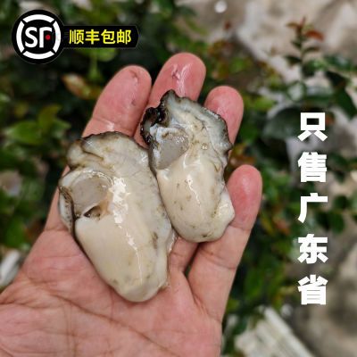 潮汕生蚝肉去壳鲜活整箱广东牡蛎肉现剥水产品1斤装烧烤海蛎顺丰