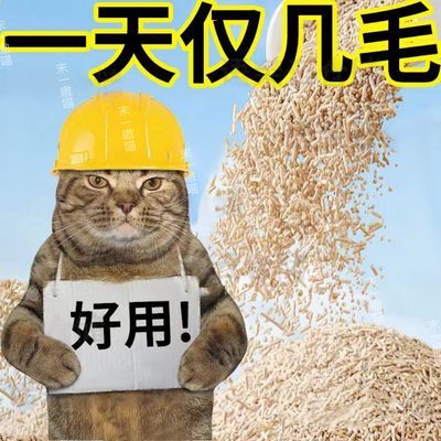 猫砂结团混合豆腐批发膨润土除臭用品猫舍厕所除味颗粒真空无尘