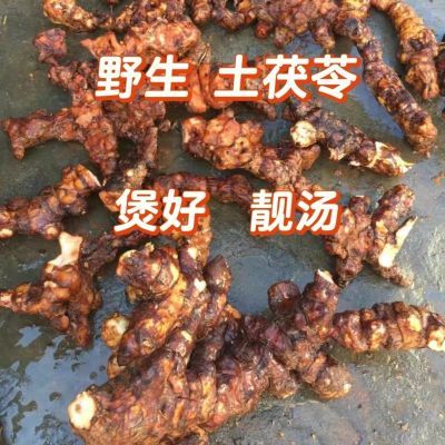 农家野生土茯苓新鲜现挖煲汤纯天然日常汤料五指毛桃泡水煮茶