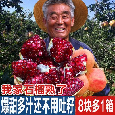 四川会理突尼斯软籽石榴整箱当季新鲜大果红心水晶甜石榴非无籽