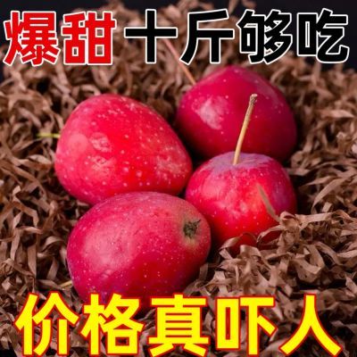 正宗东北鸡心果大果新鲜时令水果脆甜特甜直发蔬果一整箱海棠果