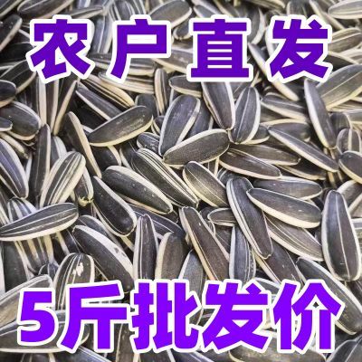 内蒙古河套生瓜子新货葵花籽农户直发薄皮饱满大颗粒瓜子特价批发