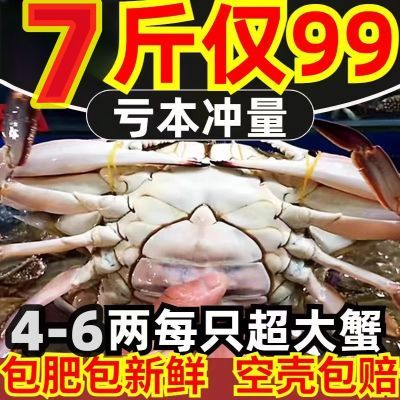 【特大母蟹包肥】2024年当天捕捞发货野生梭子蟹螃蟹二母蟹三