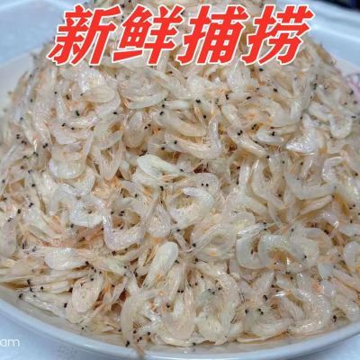 山东鲜虾皮500g海鲜海米虾米非淡干新鲜虾干海米即食