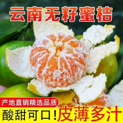 9-10装斤云南青皮橘子新鲜蜜桔当季薄皮桔子孕妇水果酸甜柑发清香