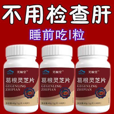 大瓶护肝片养肝】灵芝葛根熬夜口苦口臭喝酒肝火旺高血脂中药材