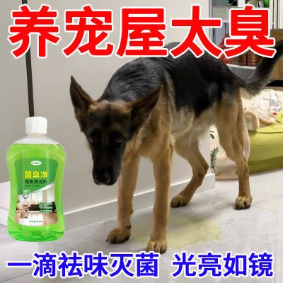 中三清宠物异味控制剂生物分解除臭抑菌猫咪狗狗杀菌去尿味除臭剂